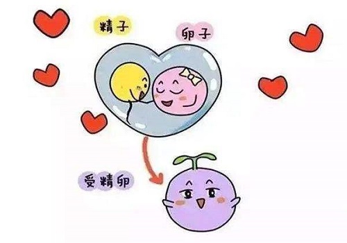 國外三代試管準備多少錢夠呢