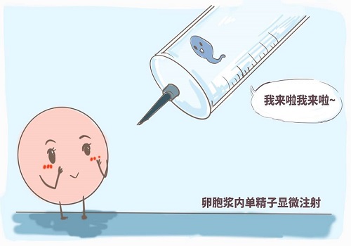 做第三代試管要準(zhǔn)備多少錢啊