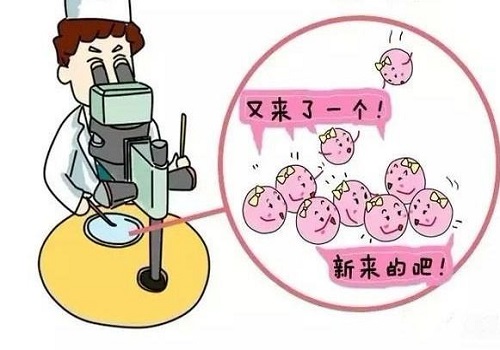 一次三代試管大概費用多少